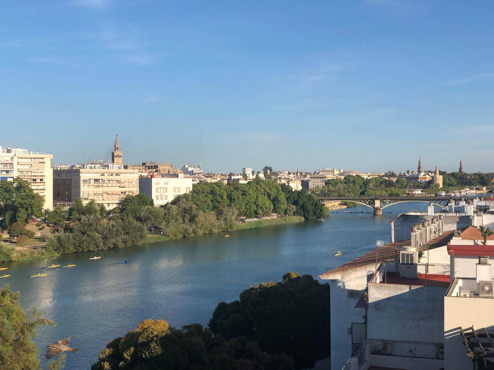 terraza en Sevilla con vistas